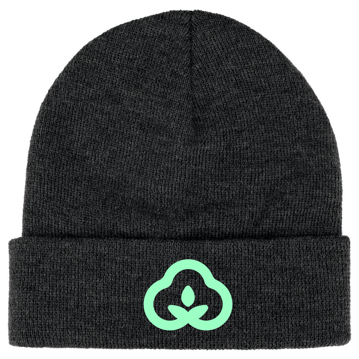 Knit Beanie With Cuff - BrandThreads