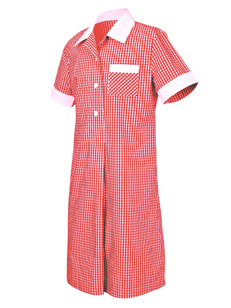 GINGHAM DRESS